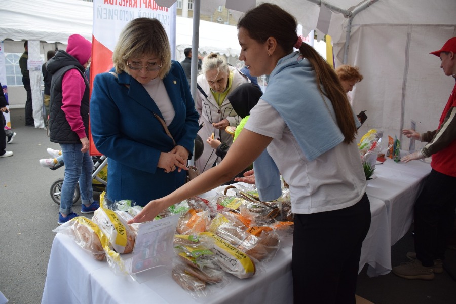 ���� ������ 2025